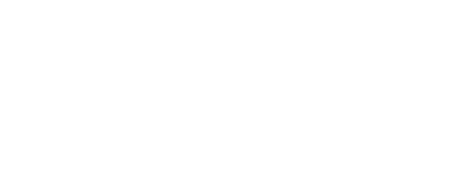 norus-logo-white